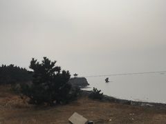 -红岛休闲渔村