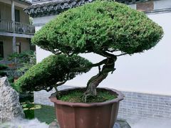 -水绘园
