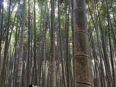 -同里国家湿地公园