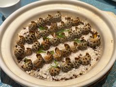 -北塘海鲜·天津菜·鲅鱼水饺是一绝(大光明桥旗舰店)