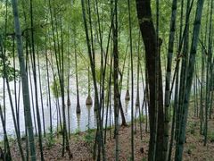 -古隆中景区