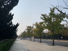 -大连人民广场