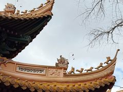 -普陀山风景名胜区-法雨禅寺