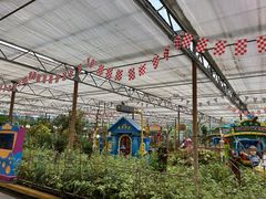 -南宫五洲植物乐园