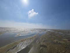 -北海金海湾红树林生态旅游区