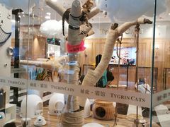 -袖虎·猫馆(体育西路店)