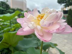 -龙环葡韵住宅式博物馆