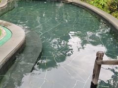 -水底山庄园温泉