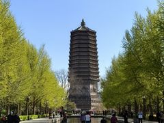 -玲珑塔公园