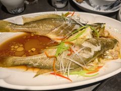 油泼深海黄花鱼-前海沿·青岛菜(大拇指广场石老人店)