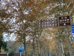 -东湖落雁景区