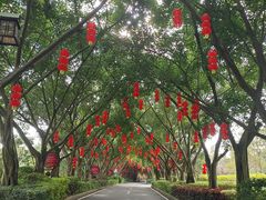 -大屏嶂森林公园