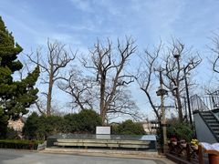 -青岛德国总督楼旧址博物馆