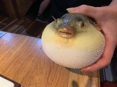 -永安鱼庄·镇江菜(丁卯店)