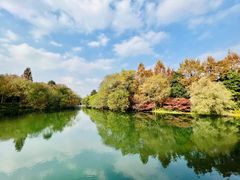 -柳莺湖上·湖景餐厅·江南菜(西湖店)