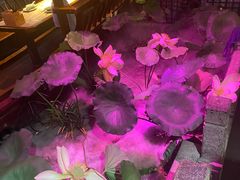 -韵秋荷(宝山龙湖天街店)