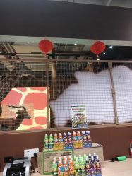 -鲁比猴非洲探索部落(喜盈门店)