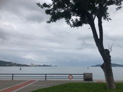 -威海铂丽斯国际大酒店(威海高铁站店)