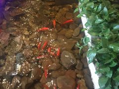 -丰茂烤串(公园店)
