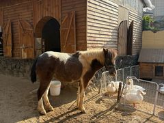 -HERRE·FARM 赫尔露营农场·团建聚会包场