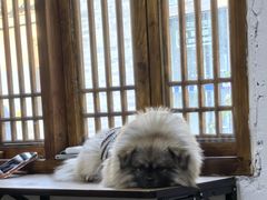 -铁炉咖啡(河下古镇店)
