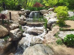 -大连植物园