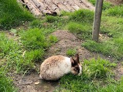 -峡谷浮石林景区