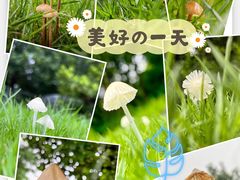 -杭州城北体育公园