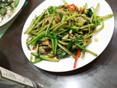 藜蒿炒腊肉-龙老五汤店(站前西路店)