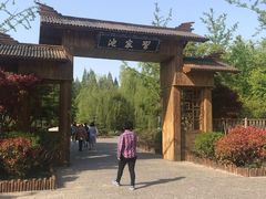 -习家池