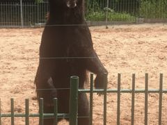 -秦皇岛野生动物园