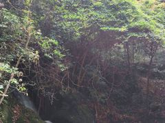 -夏霖九天银瀑风景区