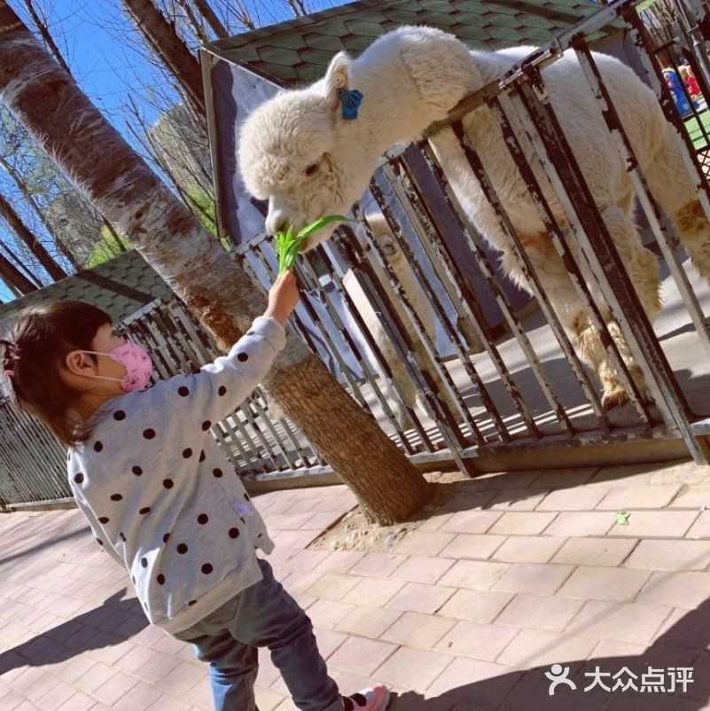 帝都遛娃必打卡🙉🙉亲子动物乐园