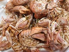 -渔民船说·北塘海鲜·天津菜·海肠捞饭(北塘古镇店)