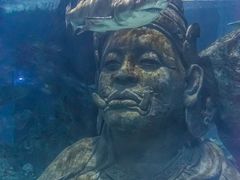 -暹罗海洋世界