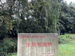 -张坝桂圆林公园