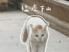 -龙华寺