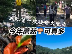 -北京鹫峰国家森林公园