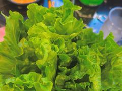 -燚青春东北泥炉烤肉(百合店)