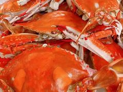 -东戴河风景区-止锚湾