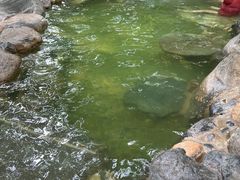 -湖泉半山温泉