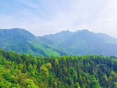 -天花井景区