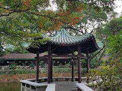 -九龙公园