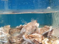 -沿海渔家院海鲜烧烤·东北菜(东戴河店)