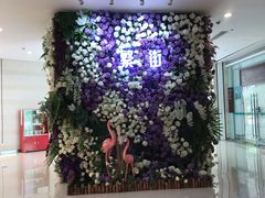 -深圳龙华星河COCO City(民治店)
