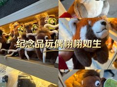 -北京周口店北京人遗址博物馆