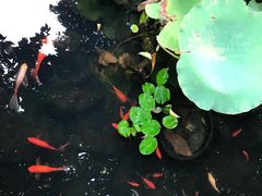 -马勒别墅·中餐厅