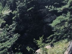 -无染寺