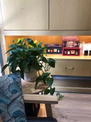 -觅屿日式脱毛美肤