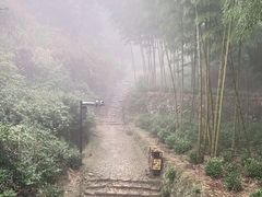 -仙霞关景区